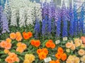 RHS Chelsea Flower Show 2017. Variegated begonias and delphiniums display.