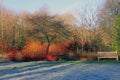 RHS Rosemoor - crisp winter`s morning Royalty Free Stock Photo