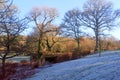 RHS Rosemoor - crisp winter`s morning Royalty Free Stock Photo