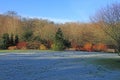 RHS Rosemoor - crisp winter`s morning Royalty Free Stock Photo