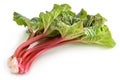 Rhubarb