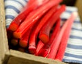 Rhubarb bunch