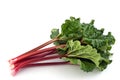 Rhubarb bunch isolated Royalty Free Stock Photo