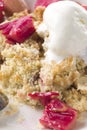 Rhubarb Crumble Royalty Free Stock Photo