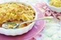 Rhubarb crumble Royalty Free Stock Photo