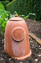 Rhubarb forcer - Terracotta - Rhubarb Royalty Free Stock Photo