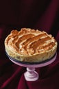 Rhubarb and meringue pie Royalty Free Stock Photo