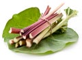 Rhubarb stalks. Royalty Free Stock Photo