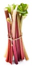 Rhubarb stalks. Royalty Free Stock Photo