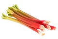 Rhubarb stalks isolated on white Royalty Free Stock Photo