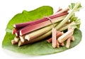 Rhubarb stalks. Royalty Free Stock Photo