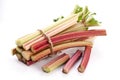 Rhubarb stalks.