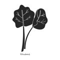 Rhubarb vector icon.Black,simple vector icon isolated on white background rhubarb.