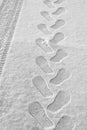 Rhythmic footprints, boot tracks and car tires on thin white snow in winter go into the distance, vertical frame, ribbed tread, Royalty Free Stock Photo