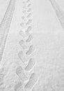 Rhythmic footprints, boot tracks and car tires on thin white snow in winter go into the distance, vertical frame, ribbed tread, Royalty Free Stock Photo