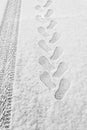 Rhythmic footprints, boot tracks and car tires on thin white snow in winter go into the distance, vertical frame, ribbed tread,