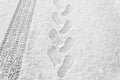 Rhythmic footprints, boot tracks and car tires on thin white snow in winter go into the distance, horizontal frame, ribbed tread Royalty Free Stock Photo