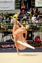 Rhythmic gymnastics Italian Championships