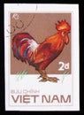 Ri rooster, from series Chicken Breeds, circa 1986