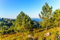 Ria de Vigo - Rande Royalty Free Stock Photo