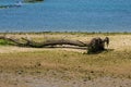 Ria Tina Minor. Nansa River mouth. Municitabria.pality of Val de San Vicente, Cantabria, Royalty Free Stock Photo