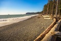 Rialto Beach with driftwood and sea stacks in Washington State Royalty Free Stock Photo