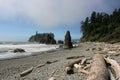 Rialto Beach at Olympic National Park Royalty Free Stock Photo