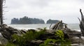 Rialto Beach, Olympic National Park, Washington State, United States Royalty Free Stock Photo