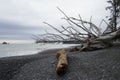 Rialto Beach Olympic National Washington