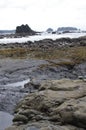 Rock formations at low tide on Rialto beach in Olympic National Park