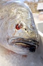 Big fish for sale at Rialto Fish Market by the grand canal Venice Italy Royalty Free Stock Photo