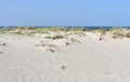 Sand dune with marram grass, blue sky and horizon over water. Rias Baixas, Galicia, Spain.