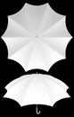 10 rib blank umbrella template isolated