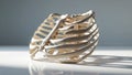 Photorealistic image of a rib cage on a white background Royalty Free Stock Photo
