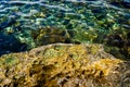 Rib on clear sea water, rocky seabed with rocks