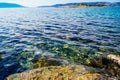 Rib on clear sea water, rocky seabed with rocks