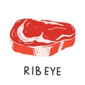 Rib eye steak, raw ribeye meat, uncooked beef cut piece, realistic vector illustration on white backgroound, good as