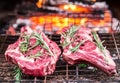 Rib eye steaks and grill with burning fire. Royalty Free Stock Photo