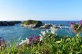 View from cliff with islands, grass and flowers. Ribadeo, Lugo Province, Spain.