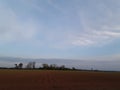 Ribbed looking clouds over Field Royalty Free Stock Photo