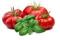 Ribbed tomatoes with Basil, paths Royalty Free Stock Photo
