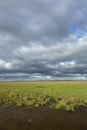 Ribble Marshes Royalty Free Stock Photo