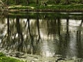 Ribble reflections Royalty Free Stock Photo