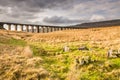 Ribblehead Railway Bridge Royalty Free Stock Photo