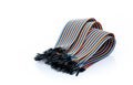Ribbon cable or multi-wire planar cable on white background. Flat ribbon cable with pin connectors. Multi-colored ribbon computer