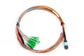 Ribbon fiber optic fun out patchcord with connector MTP Royalty Free Stock Photo