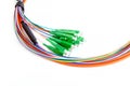 Ribbon fiber optic fun out patchcord with connector MTP Royalty Free Stock Photo