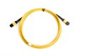 Ribbon fiber optic patchcord with connector MTP