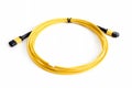 Ribbon fiber optic patchcord with connector MTP