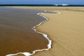 Ribbon of Foam on Sand